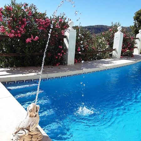 Apartamento Bella Vista Coín Extérieur photo