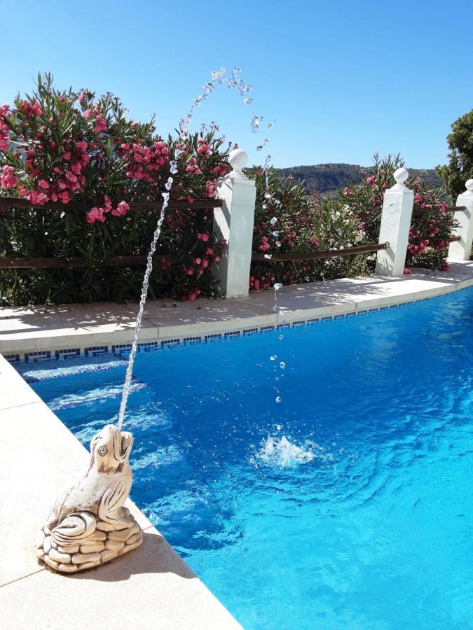 Apartamento Bella Vista Coín Extérieur photo